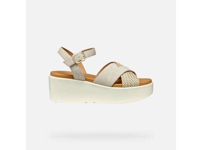 D XAND 2.2S