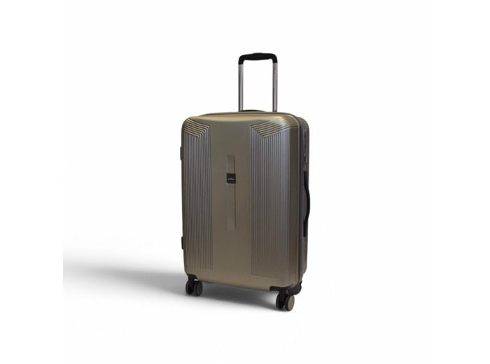 Valise Medium Plume - Argent