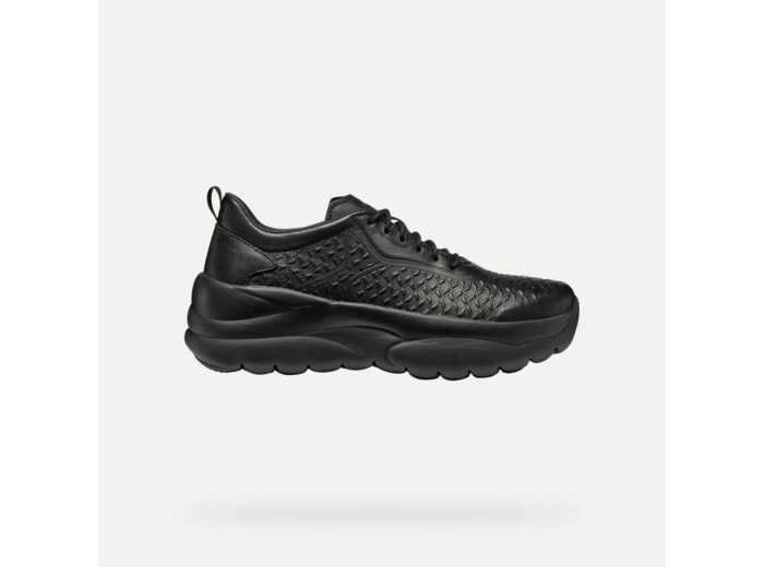 D XTORS