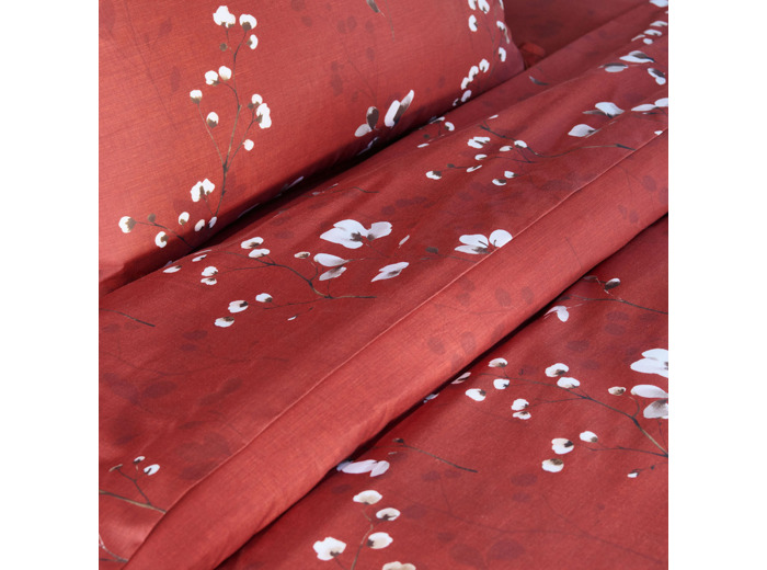 DRAP PLAT | Minimaliste