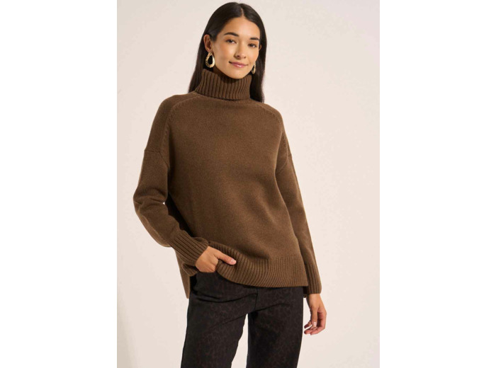 Pull col roulé en laine
