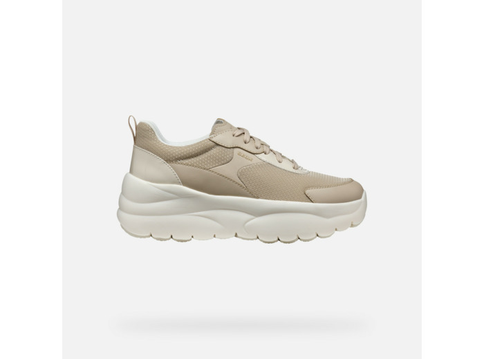 D XTORS