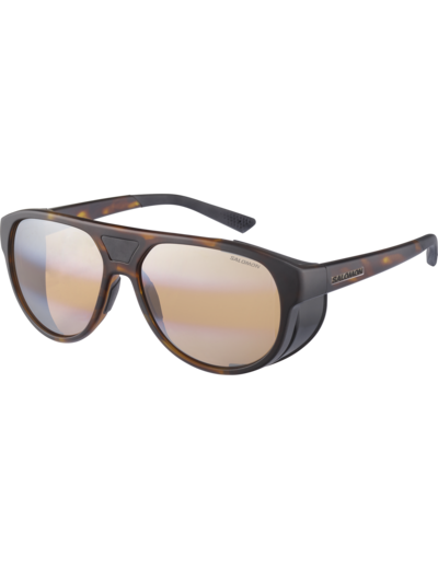 Nanga Photo  Tortoise Aw Brown