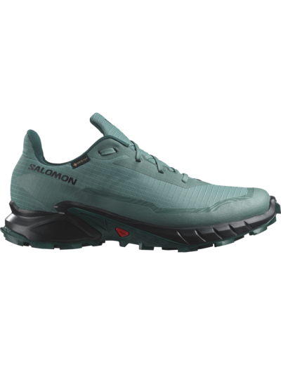 Alphacross 5 Gtx North Atlantic Black Sea Moss