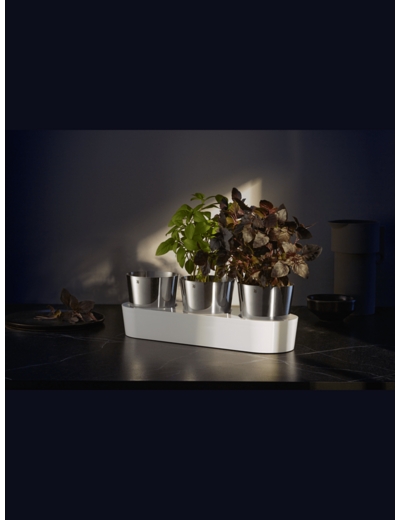 Jardin aromatique Gourmet lot de 3 pièces