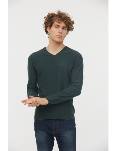 Pull basique col V maille fantaisie en coton bio avec print poitrine