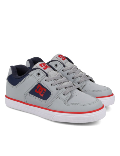 Chaussures DC Vulcanisées Gris/Bleu
