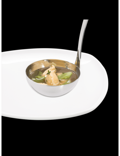 Louche à soupe Profi Plus