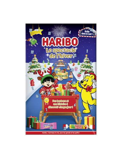 Calendrier de l'avent 310G