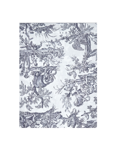 Drap plat 4 CONTINENTS - Blanc/Bleu
