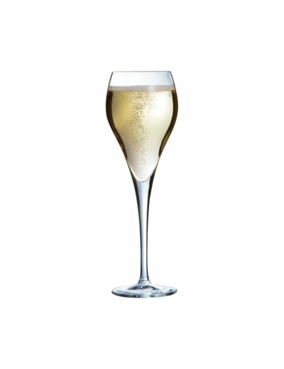 6 flûtes 16cl brio