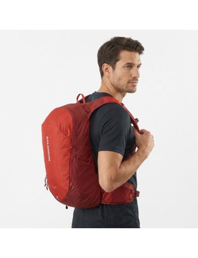 Trailblazer 20 Red Dahlia   High Risk Red