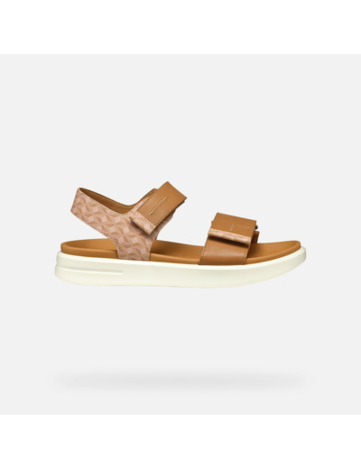 D XAND 2S