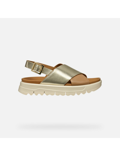 D XAND 2.1S