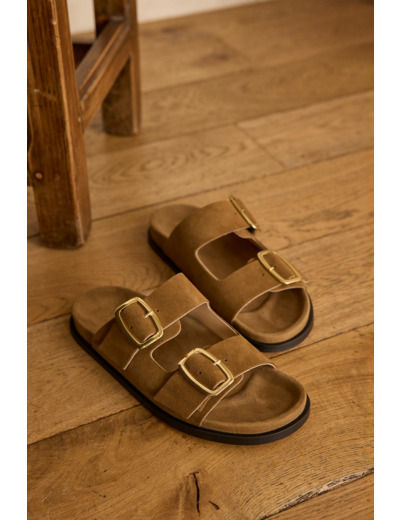 Mules  MATEO