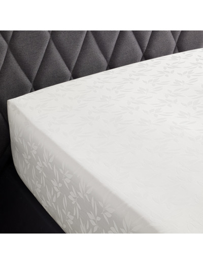 DRAP HOUSSE | Cristal