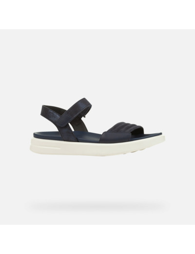 D XAND 2S