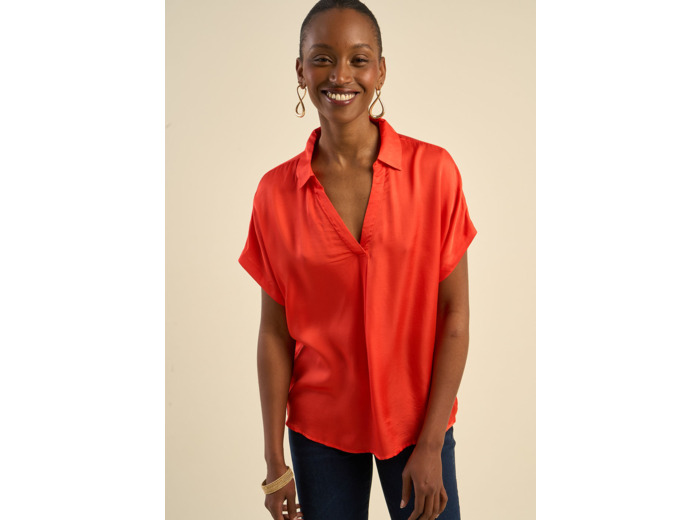 Top col chemisier coupe fluide