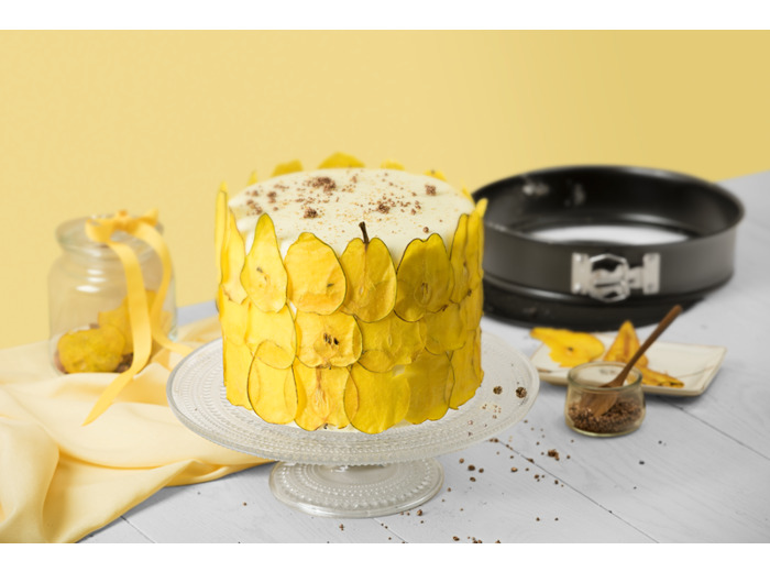 Moule à charnière 24cm CLASSIC