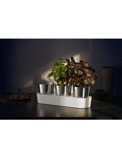 Jardin aromatique Gourmet lot de 3 pièces
