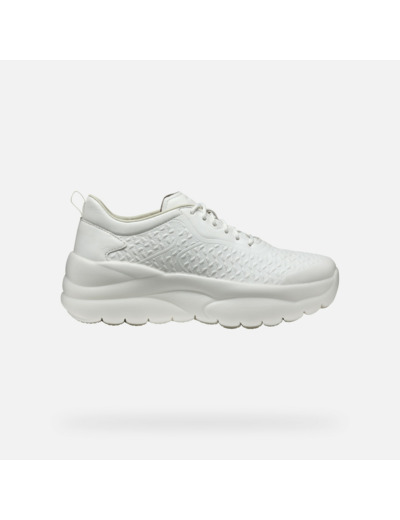D XTORS